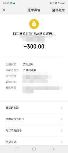 杨家坪步行街云儿